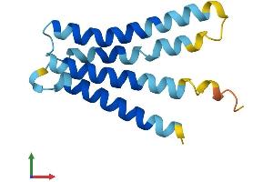 AlphaFold protein structure predicition of Human Recombinant LEPROTL1 Protein, UniprotID O95214