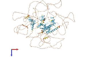 AlphaFold protein structure predicition of Human Recombinant PRDM16 Protein, UniprotID Q9HAZ2