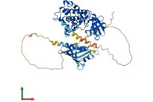 AlphaFold protein structure predicition of Human Recombinant CAMK2G Protein, UniprotID Q13555