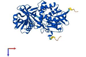 AlphaFold protein structure predicition of Human Recombinant PIPOX Protein, UniprotID Q9P0Z9