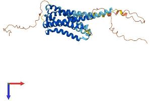AlphaFold protein structure predicition of Mouse Recombinant Ptger1 Protein, UniprotID P35375