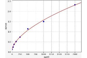 Neurotrophin 3 (NTF3) ELISA Kit