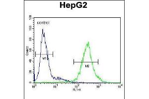 Flow cytometric analysis of HepG2 cells (right histogram) compared to a negative control cell (left histogram). (IL1RN anticorps  (C-Term))