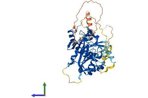AlphaFold protein structure predicition of Mouse Recombinant Mettl4 Protein, UniprotID Q3U034