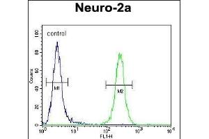 CCD Antibody (C-term) (ABIN654259 and ABIN2844079) flow cytometric analysis of Neuro-2a cells (right histogram) compared to a negative control cell (left histogram). (CEP89 anticorps  (C-Term))