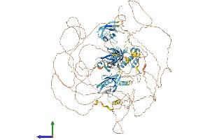 AlphaFold protein structure predicition of Mouse Recombinant Il16 Protein, UniprotID O54824