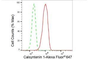 Flow cytometric analysis of Calsyntenin 1 expression in HT- cells using Calsyntenin 1 antibody (ABIN7797854), 1:2,000).