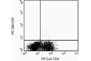 Preincubation of the antibody conjugate with recombinant human GM-CSF (GM-CSF anticorps)