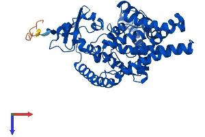 AlphaFold protein structure predicition of Mouse Recombinant Fads2 Protein, UniprotID Q9Z0R9