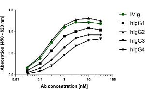 Different human IgG subclasses were coated on an ELISA plate at 100 ng. (Recombinant Souris anti-Humain IgG (Fc Region) Anticorps)