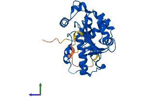 AlphaFold protein structure predicition of Mouse Recombinant Cnot7 Protein, UniprotID Q60809