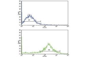 Flow cytometric analysis of NCI-H292 cells using IL-1B antibody (bottom histogram) compared to a negative control (top histogram).