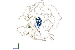 AlphaFold protein structure predicition of Mouse Recombinant Atxn1 Protein, UniprotID P54254