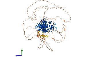AlphaFold protein structure predicition of Human Recombinant NR3C1 Protein, UniprotID P04150
