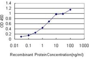 Detection limit for recombinant GST tagged FGF12 is approximately 0.