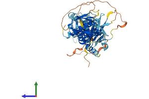 AlphaFold protein structure predicition of Mouse Recombinant Snta1 Protein, UniprotID Q61234