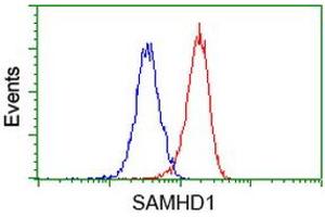 Flow cytometric Analysis of Hela cells, using anti-SAMHD1 antibody (ABIN2453908), (Red), compared to a nonspecific negative control antibody, (Blue). (SAMHD1 anticorps)