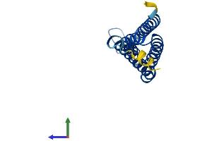 AlphaFold protein structure predicition of Human Recombinant MGST2 Protein, UniprotID Q99735