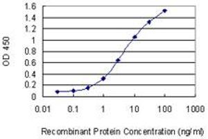 Detection limit for recombinant GST tagged UBE2K is 0. (UBE2K anticorps  (AA 1-40))