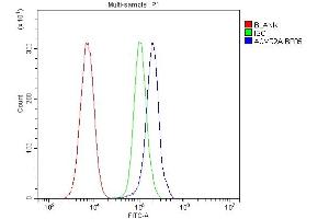 Flow Cytometry analysis of HEPA1-6 cells using anti-ACVR2A antibody (ABIN4886422).