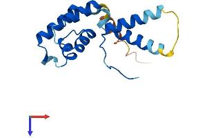 AlphaFold protein structure predicition of Human Recombinant CRCP Protein, UniprotID O75575