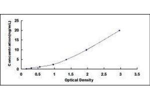 Myogenin (Myogenic Factor 4) (MYOG) ELISA Kit