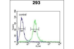 GATA2 Antibody (Center) (ABIN652243 and ABIN2841006) flow cytometric analysis of 293 cells (right histogram) compared to a negative control cell (left histogram).