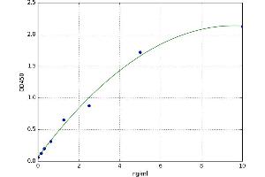 Sirtuin 5 (SIRT5) ELISA Kit