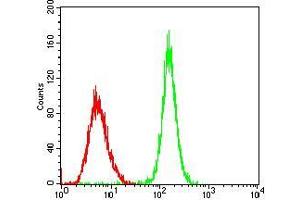 Flow cytometric analysis of Hela cells using PER3 mouse mAb (green) and negative control (red).