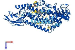 AlphaFold protein structure predicition of Mouse Recombinant Alox12b Protein, UniprotID O70582