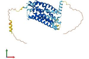 AlphaFold protein structure predicition of Human Recombinant CXCR3 Protein, UniprotID P49682