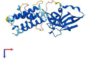 AlphaFold protein structure predicition of Mouse Recombinant Aida Protein, UniprotID Q8C4Q6