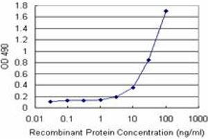 Sandwich ELISA detection sensitivity ranging from 3 ng/mL to 100 ng/mL. (ARHGDIA (Humain) Matched Antibody Pair)