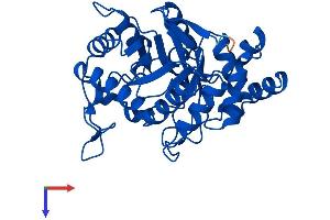 AlphaFold protein structure predicition of Human Recombinant AKR1C1 Protein, UniprotID Q04828