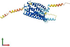 AlphaFold protein structure predicition of Human Recombinant P2RY13 Protein, UniprotID Q9BPV8
