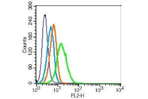 U937 cells probed with 	Anti-CD162 Polyclonal Antibody, Unconjugated  at 0. (SELPLG anticorps  (AA 251-350))