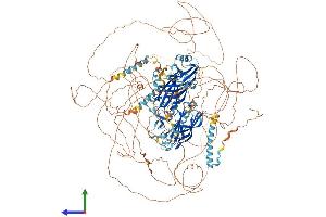 AlphaFold protein structure predicition of Mouse Recombinant Rims2 Protein, UniprotID Q9EQZ7