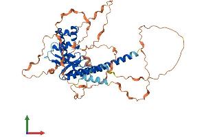 AlphaFold protein structure predicition of Human Recombinant OTUD1 Protein, UniprotID Q5VV17