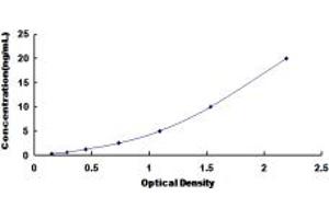 Typical standard curve (GJB1 Kit ELISA)