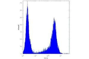 HES1 antibody flow cytometric analysis of U251 cells (right histogram) compared to a negative control (left histogram).