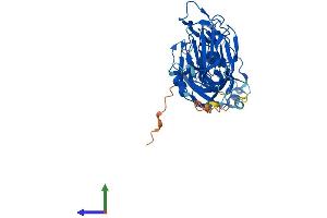 AlphaFold protein structure predicition of Mouse Recombinant Allc Protein, UniprotID Q9JHX6