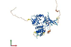 AlphaFold protein structure predicition of Mouse Recombinant Frmd8 Protein, UniprotID Q3UFK8