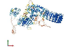 AlphaFold protein structure predicition of Mouse Recombinant Nlrp3 Protein, UniprotID Q8R4B8