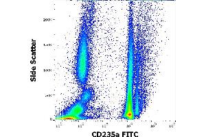 Flow cytometry surface staining pattern of human peripheral whole blood stained using anti-human CD235a (JC159) FITC antibody (4 μL reagent / 100 μL of peripheral whole blood). (CD235a/GYPA anticorps  (FITC))