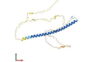 AlphaFold protein structure predicition of Mouse Recombinant Tfpt Protein, UniprotID Q3U1J1