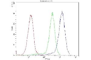 Flow Cytometry analysis of U20S cells using anti-BMP5 antibody (ABIN3043800). (BMP5 anticorps  (C-Term))