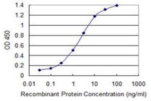Detection limit for recombinant GST tagged RFFL is 0. (RFFL anticorps  (AA 2-99))