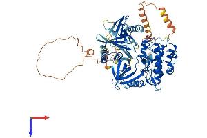 AlphaFold protein structure predicition of Mouse Recombinant Plk2 Protein, UniprotID P53351