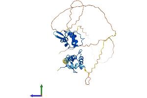 AlphaFold protein structure predicition of Mouse Recombinant Rnf34 Protein, UniprotID Q99KR6