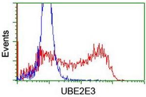 HEK293T cells transfected with either RC210328 overexpress plasmid (Red) or empty vector control plasmid (Blue) were immunostained by anti-UBE2E3 antibody (ABIN2455771), and then analyzed by flow cytometry. (UBE2E3 anticorps)